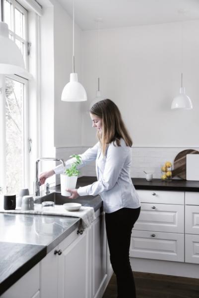 Damixa Silhouet k&oslash;kkenarmatur - Krom